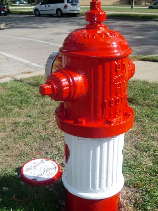 Baseball Theme - Wisconsin and Jackson (3)